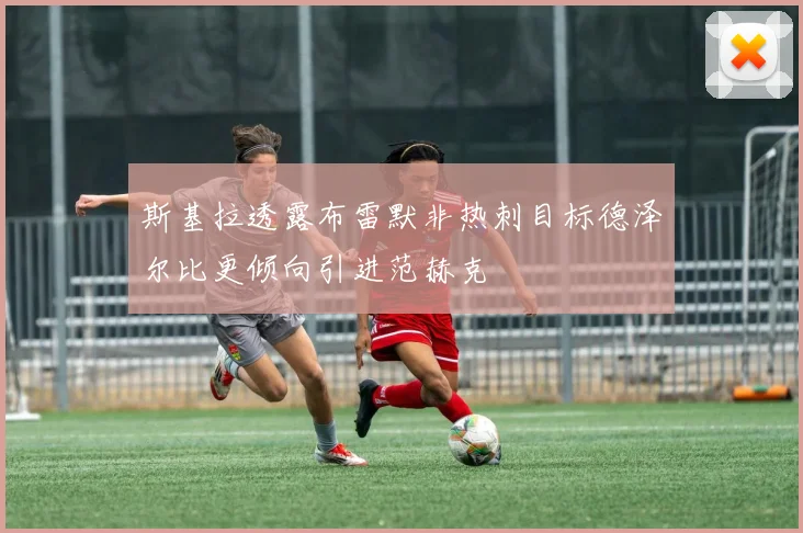 斯基拉透露布雷默非热刺目标德泽尔比更倾向引进范赫克